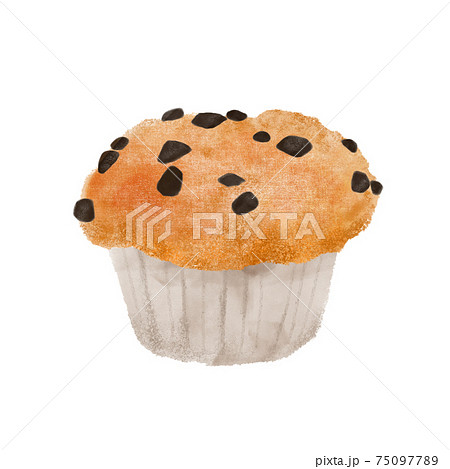 チョコチップのイラスト素材