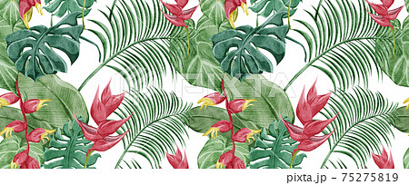 熱帯植物のイラスト素材