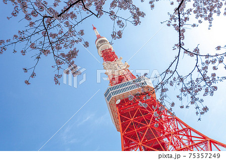 東京タワー かわいい 東京 タワーの写真素材