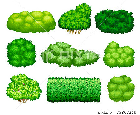 植え込みのイラスト素材