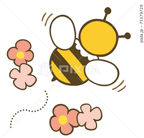蜜蜂 蜂 ミツバチ 後ろ姿の写真素材