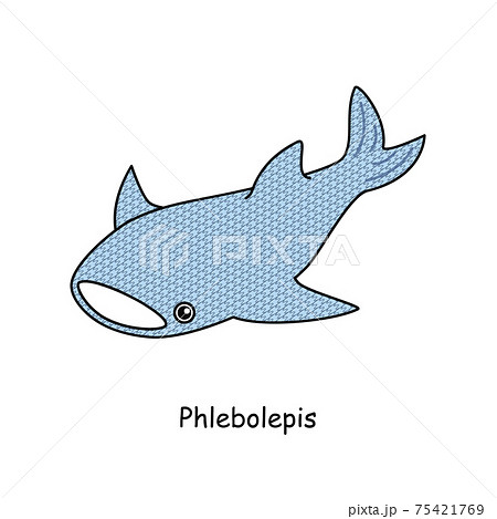 ジンベエザメ サメ 魚 かわいいのイラスト素材