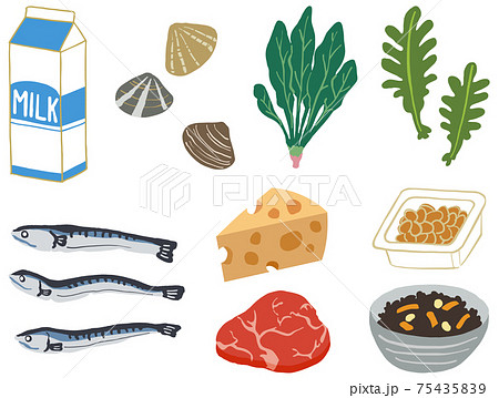 海藻類のイラスト素材