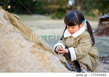 子供 泥 泥遊び 泥だんごの写真素材