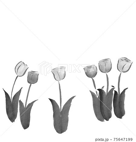 お花 チューリップ 花 水墨画のイラスト素材
