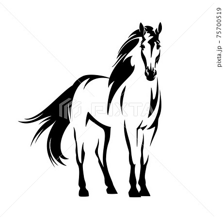 馬 イラスト 黒馬 白黒のイラスト素材