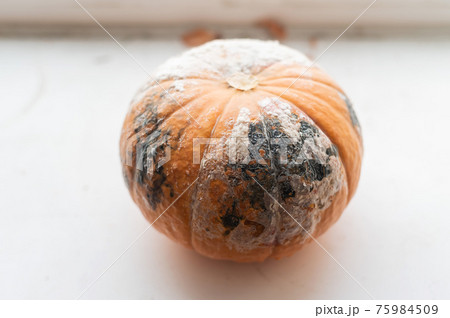 かぼちゃ カビ