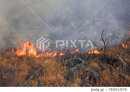 山火事の写真素材