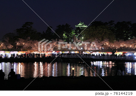 岡崎城 天守閣 夜景 ライトアップの写真素材