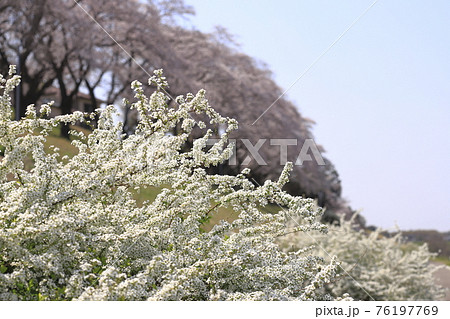 ビリケンさんの写真素材 Pixta