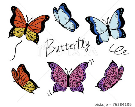 バタフライ 蝶 飛ぶ 春のイラスト素材