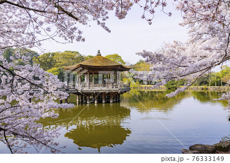 奈良公園 桜 浮御堂 春の写真素材 - PIXTA