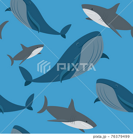 キャラクター 鮫 かわいい イラストの写真素材