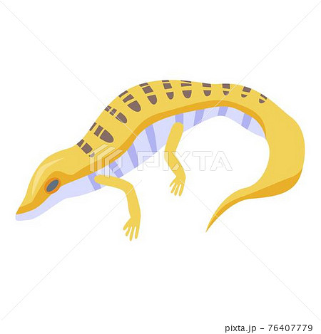 とかげ トカゲ キャラクター 文字の写真素材