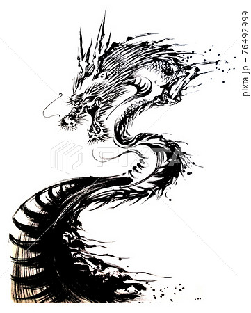 Dragons Illustrations