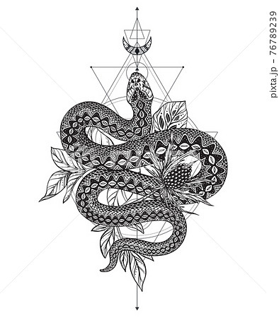 ヘビ 蛇 刺青 抽象のイラスト素材