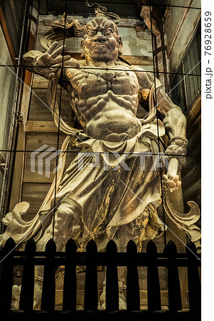 大仏 ライトアップ 鎌倉の写真素材