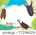 カブトムシの成長過程 生態のイラスト素材