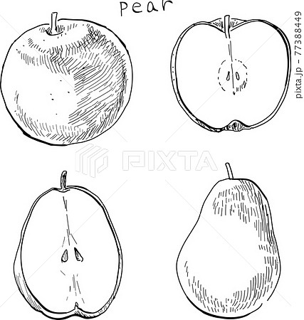 フルーツ 果実 果物 白黒のイラスト素材