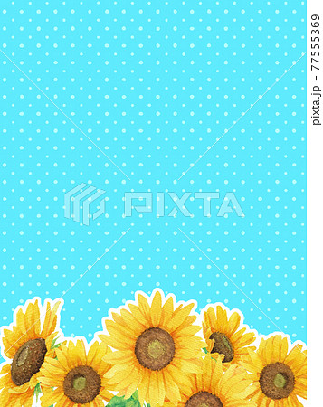 縦 向日葵 ヒマワリ ひまわりのイラスト素材