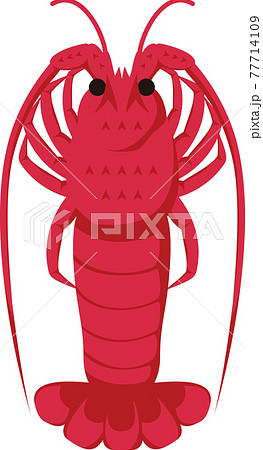 伊勢海老のイラスト素材