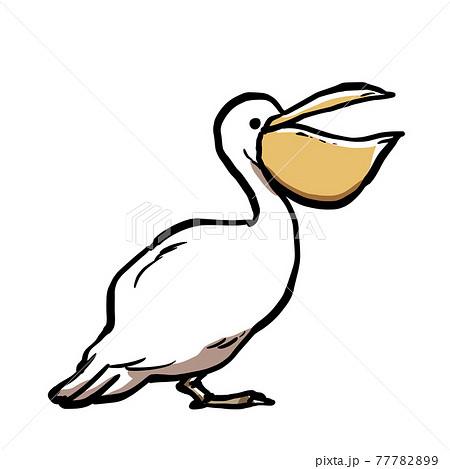 ペリカン かわいいのイラスト素材 ペリカン かわいいのイラスト素材