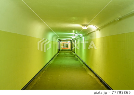 緑色 日常 道 おしゃれの写真素材