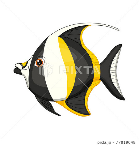 エンゼルフィッシュのイラスト素材