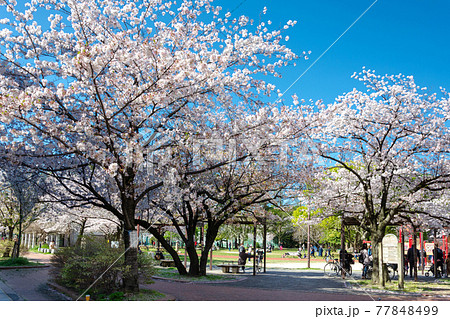 福岡市山王公園の写真素材