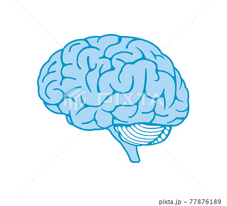 脳味噌のイラスト素材