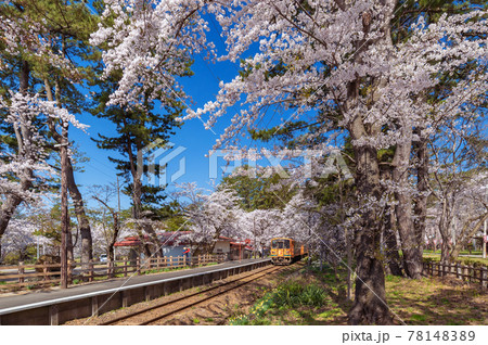 走れメロスの写真素材