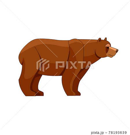 熊 クマ 動物園 横顔のイラスト素材