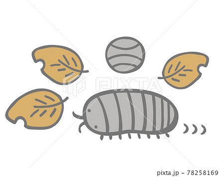 ダンゴムシのイラスト素材