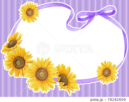 ひまわり 花 リアルイラスト 向日葵の写真素材