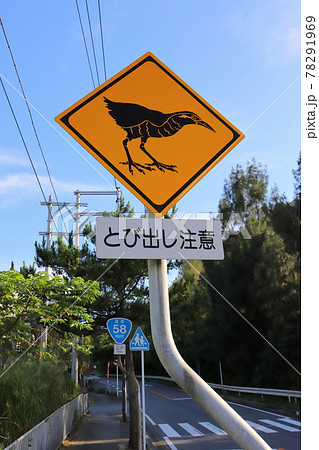 動物飛び出し注意 看板の写真素材 - PIXTA