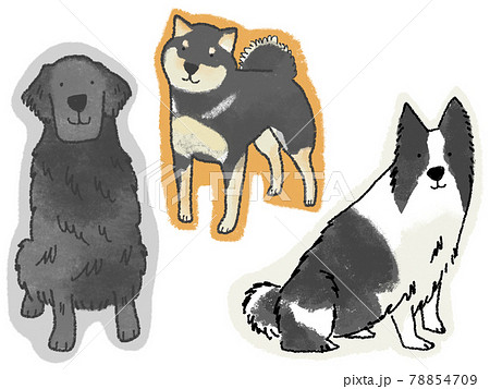 ボーダーコリーのイラスト素材