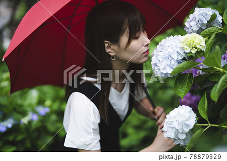 雨 傘 梅雨 美しいの写真素材