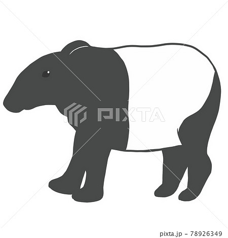 バク 動物 イラストの写真素材