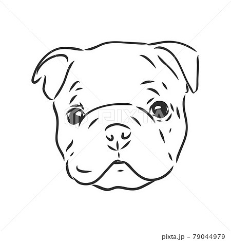 フレンチブルドッグ イラスト かわいい 愛らしい 可愛いのイラスト素材