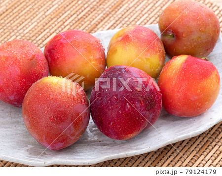 スモモの写真素材