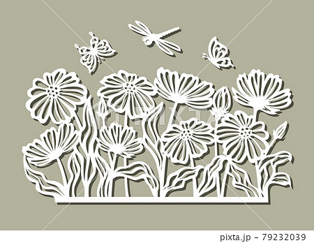 花 菊 ステンシル 植物のイラスト素材