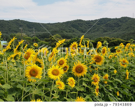 福山雅治の写真素材