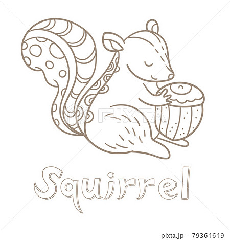 どんぐり 団栗 リス 動物のイラスト素材 Pixta