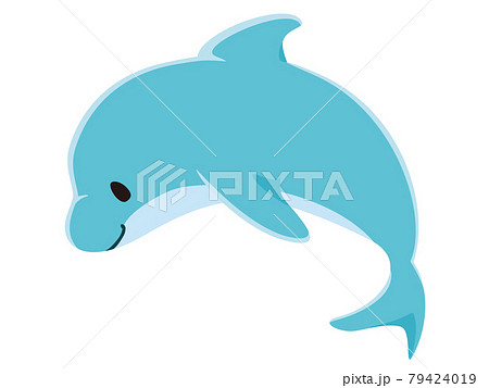 イルカショーのイラスト素材