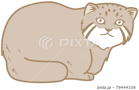 ヤマネコのイラスト素材 ヤマネコのイラスト素材