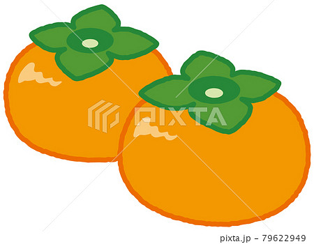 柿のイラスト素材集 ピクスタ