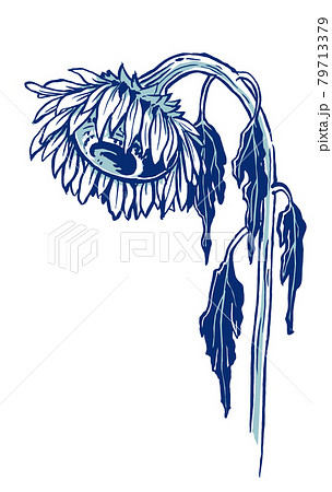 枯れた花のイラスト素材 - PIXTA
