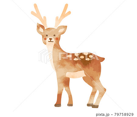 シカ 鹿 のイラスト素材集 ピクスタ