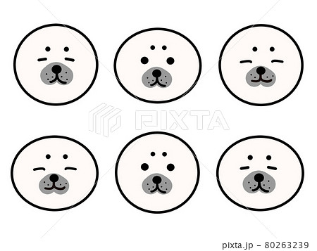 アザラシの赤ちゃんの顔のイラストのイラスト素材