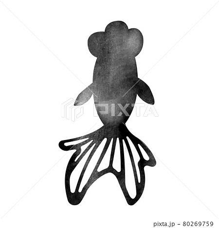 金魚掬いの写真素材 Pixta